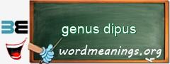 WordMeaning blackboard for genus dipus